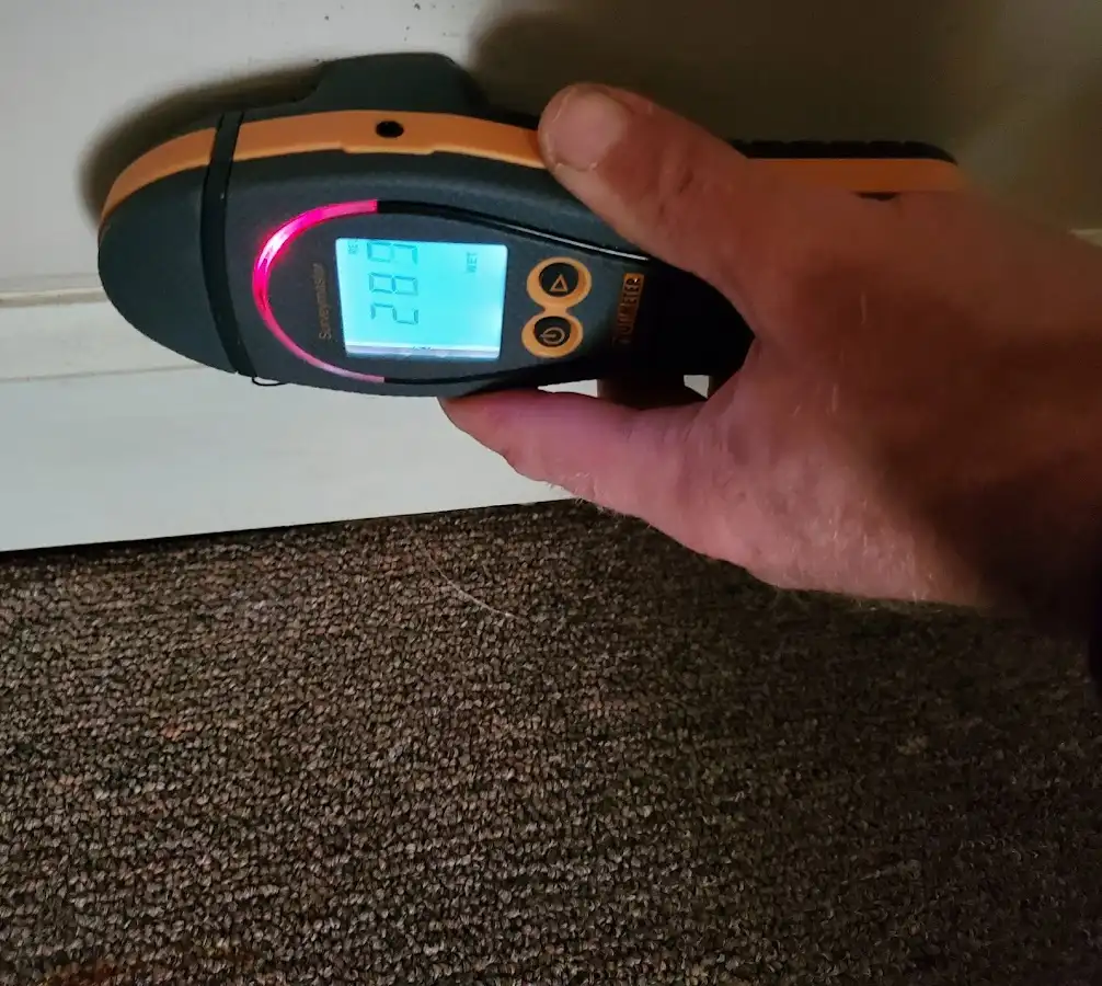 Moisture detection at baseboard during Sewage Cleanup & Sanitation in Chelsea